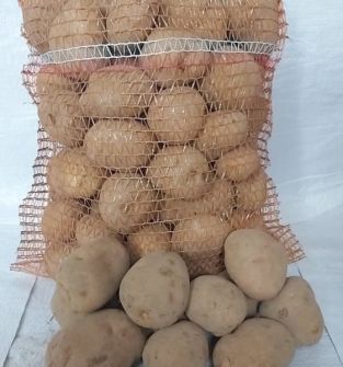 Ziemniaki Jadalne Denar