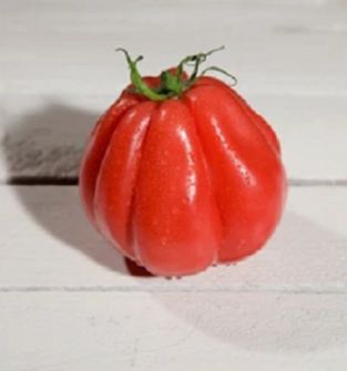 Sadzonki pomidorów CORAZON - typ bawole serce - rozsada, sadzonka