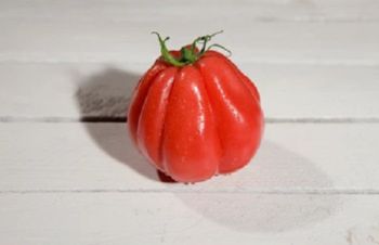 Sadzonki pomidortów CORAZON - typ bawole serce - rozsada, sadzonka